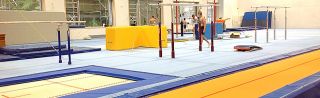 gymnastikunterricht hannover DTB Turn-Talentschule Hannover