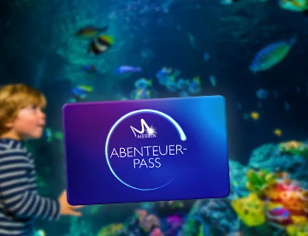 spinnen hannover SEA LIFE Hannover