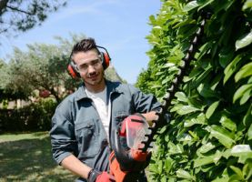 prasenzkurse im gartenbau hannover Jan Garden - Garten- und Landschaftsbauer aus Leidenschaft