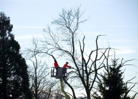 prasenzkurse im gartenbau hannover Jan Garden - Garten- und Landschaftsbauer aus Leidenschaft