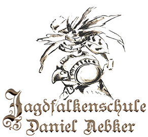 Logo Jagdfalkenschule Daniel Aebker