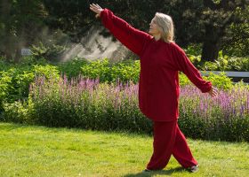 chi kung kurse hannover Centrum für Tai Chi, Qi Gong, Yoga und Körperarbeit