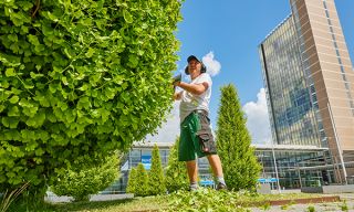 prasenzkurse im gartenbau hannover Janisch GmbH