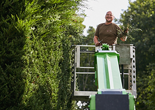 prasenzkurse im gartenbau hannover Steinberg Gärten e.K.