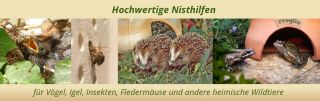 Banner Nisthilfen