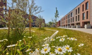 Urbane Revitalisierung von Janisch