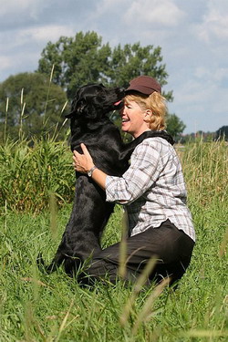 orte an denen man einen golden retriever kaufen kann hannover Aldagessem's Labradors