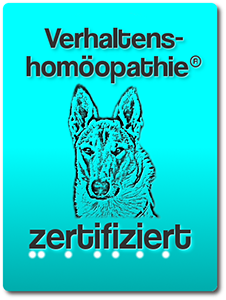 hunde waschen hannover HundeArtige Hannover