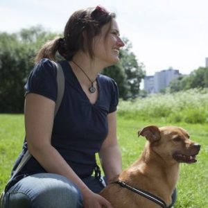 hunde waschen hannover HundMenschTeam Hannover