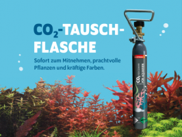 Unser Service für Ihr Aquarium: CO2-Tauschflaschen