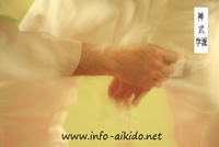 kendo kurse hannover Shinbu-ryu Aikido Hannover