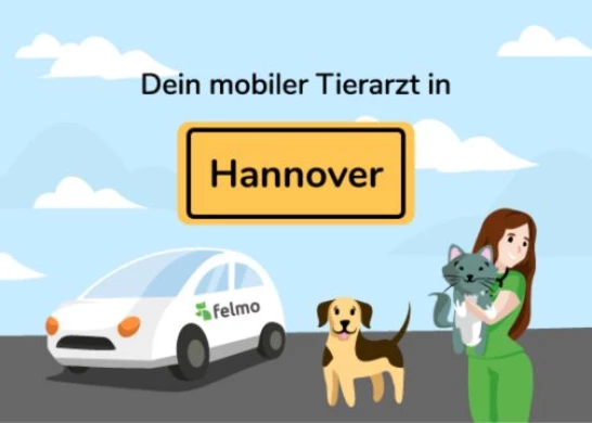 tierarztliche apotheken hannover felmo Mobiler Tierarzt Hannover